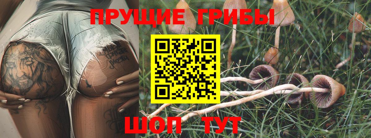 Галлюциногенные грибы Cubensis Лыткарино