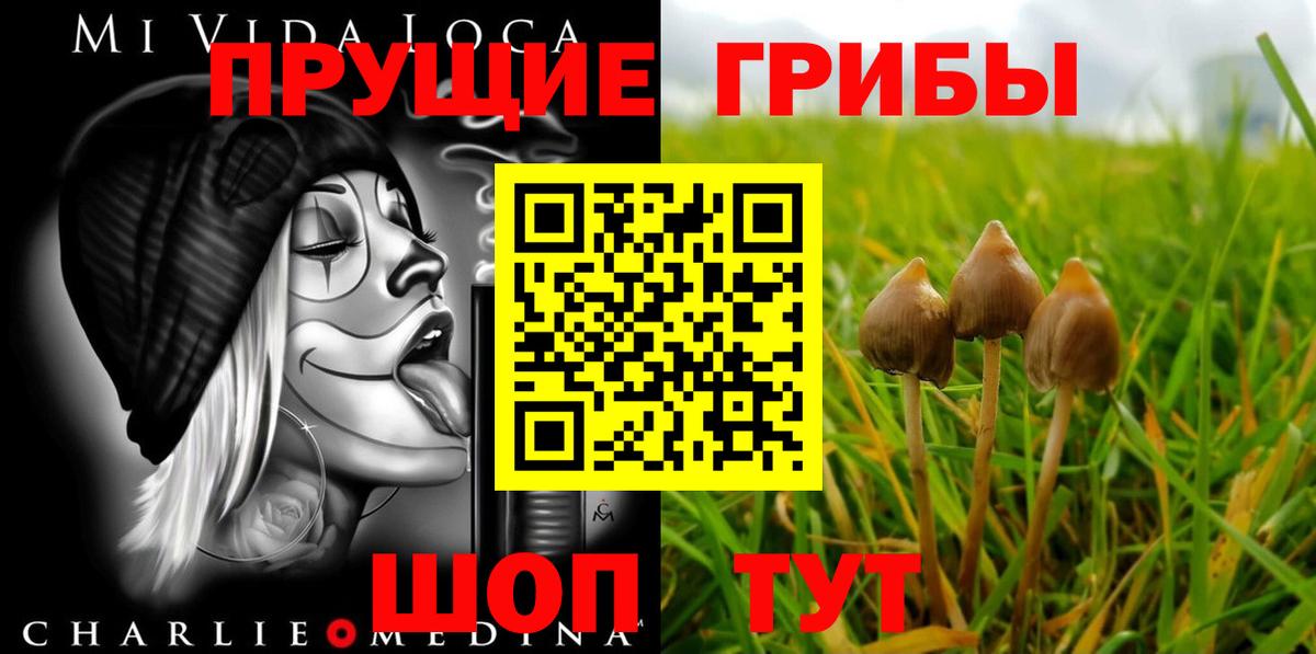 Псилоцибиновые грибы ЛСД  Галлюциногенные грибы Psilocybine cubensis  наркошоп  Вход с VPN  Лыткарино 